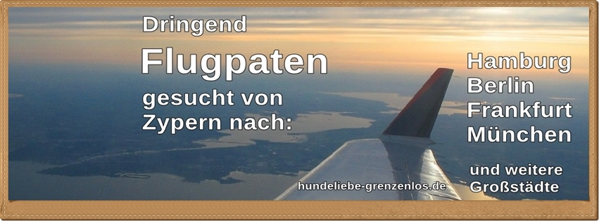 flugpaten-gesucht